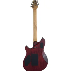 EVH Wolfgang Standard - Exotic Ziricote - Baked Maple