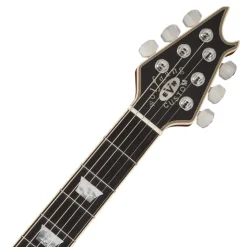 EVH® Wolfgang® USA Custom Deluxe, Ebony Fingerboard, Gold