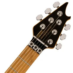 EVH Wolfgang WG Standard Exotic Zebrawood Natural