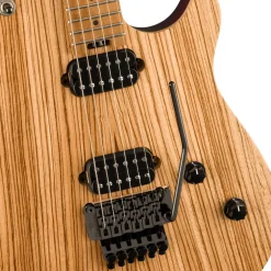 EVH Wolfgang WG Standard Exotic Zebrawood Natural