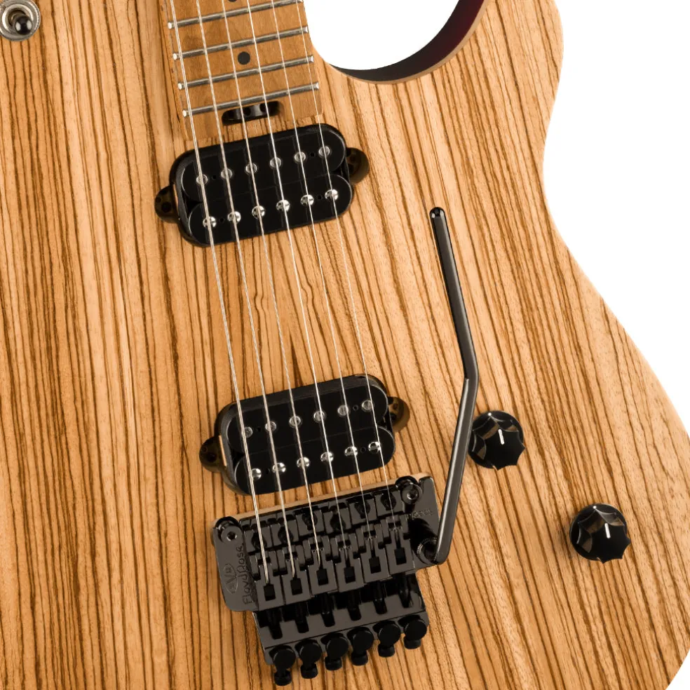 EVH Wolfgang WG Standard Exotic Zebrawood Natural