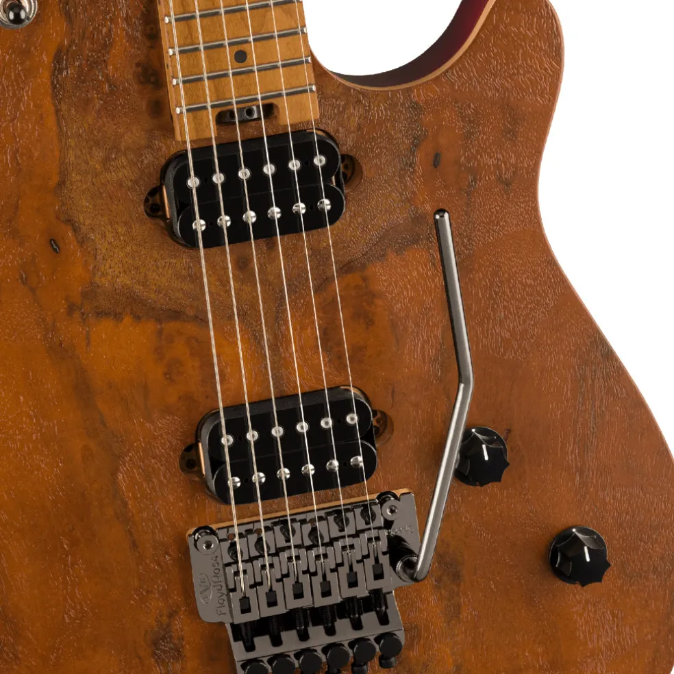 EVH Wolfgang WG Standard Exotic Black Walnut Natural