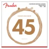 Fender 8060 Acoustic Bass Strings Phosphor Bronze Long Scale .45 to .100 Gauges 4