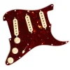 Fender - Pre-Wired Strat Pickguard, Original '57/'62 SSS, Tortoise Shell 11