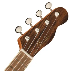Fender Zuma Exotic Concert Ukulele, Walnut Fingerboard, Bocote