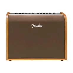 Fender Acoustic 100 Guitar Amplifier
