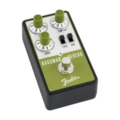 Fender Bassman Reverb