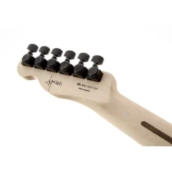 Fender Jim Root Telecaster - White