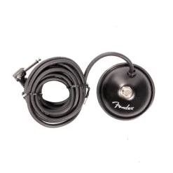 Fender Limited Edition Blues Junior IV 1 x 12-inch 15-watt Tube Combo Amp - Blonde Wheat