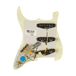 Fender Pre Wired Strat Pickguard Eric Johnson Signature Mint Green 11 Hole PG