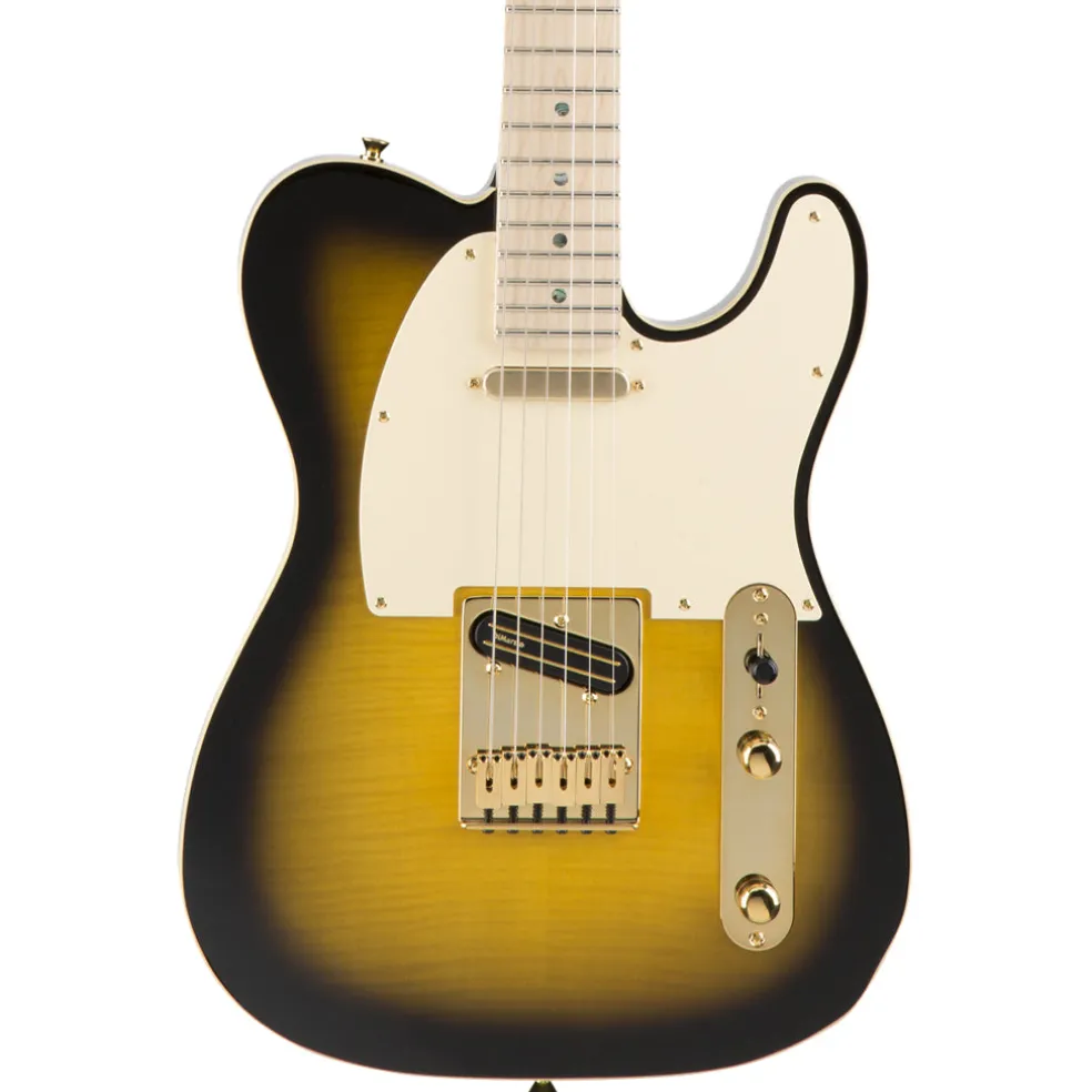 Fender Richie Kotzen Telecaster, Maple Fingerboard, Brown Sunburst