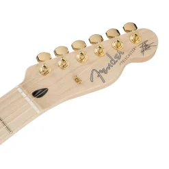 Fender Richie Kotzen Telecaster, Maple Fingerboard, Brown Sunburst