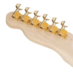 Fender Richie Kotzen Telecaster, Maple Fingerboard, Brown Sunburst