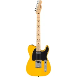 Fender Standard Telecaster, Maple Fingerboard Electric Guitar - Butterscotch Blonde