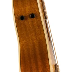 Fender Villager 12 String - Aged Natural