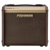 Fishman Loudbox Micro