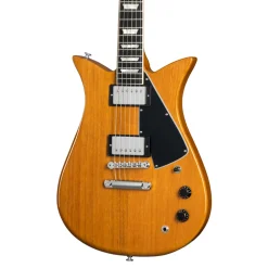 Gibson Theodore Standard Antique Natural