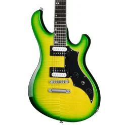 Gibson Victory Figured Top Iguana Burst