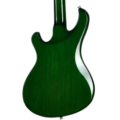 Gibson Victory Figured Top Iguana Burst