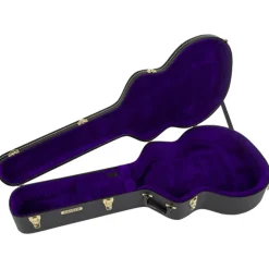 Gretsch G6302 Extra Long Jumbo (12 String) Flat Top Acoustic Case