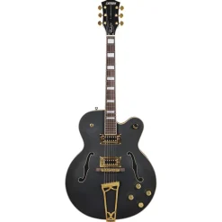 Gretsch G5191BK Tim Armstrong Hollowbody - Black