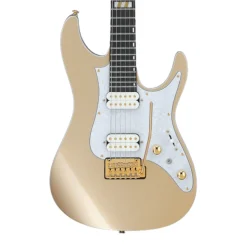 Ibanez - KRSY10 Scott LePage Signature Model Electric Guitar