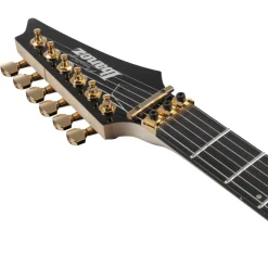 Ibanez - RGA622XH Prestige Electric Guitar with Case - Black