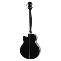 Ibanez AEB8EBK Acoustic Bass