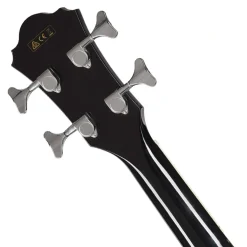 Ibanez AEB8EBK Acoustic Bass