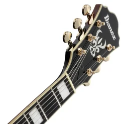 Ibanez AG95QA DBS Electric Guitar