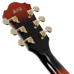 Ibanez AG95QA DBS Electric Guitar