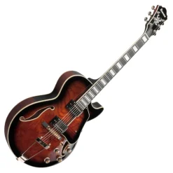 Ibanez AG95QA DBS Electric Guitar