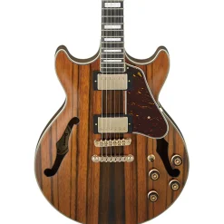 Ibanez AM93ME Hollow Body - Natural