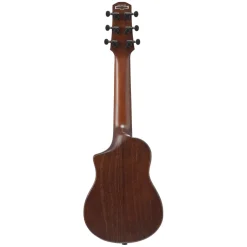 Ibanez AUP10N Ukulele with Bag - Open Pore Light Brown Sunburst