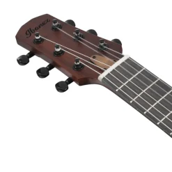 Ibanez AUP10N Ukulele with Bag - Open Pore Light Brown Sunburst