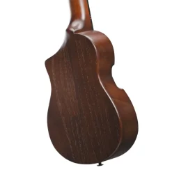 Ibanez AUP10N Ukulele with Bag - Open Pore Light Brown Sunburst