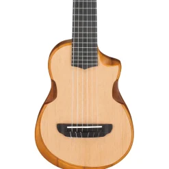 Ibanez AUP10NOPN Ukulele Open Pore Natural