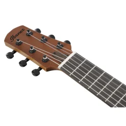 Ibanez AUP10NOPN Ukulele Open Pore Natural