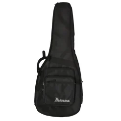 Ibanez AZ224BCG DET Electric Guitar with Bag