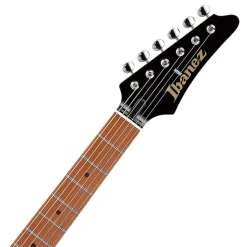 Ibanez FLATV1 Josh Smith Black