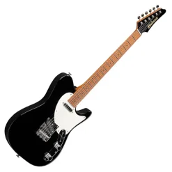 Ibanez FLATV1 Josh Smith Black
