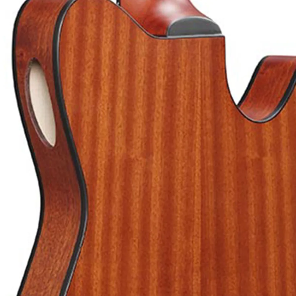 Ibanez FRH10N Flat Left Handed Nylon String Guitar - Brown Sunburst