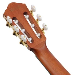 Ibanez FRH10N Indigo Metallic Flat Nylon String Guitar