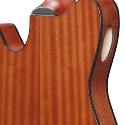 Ibanez FRH10N Indigo Metallic Flat Nylon String Guitar