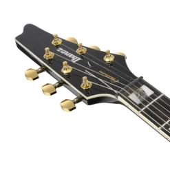 Ibanez FRM350 Paul Gilbert Signature Electric Guitar - Black