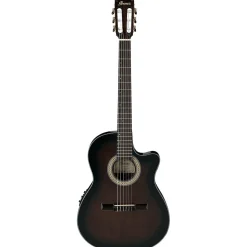 Ibanez GA35TCE DVS Classical Guitar