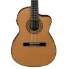 Ibanez GA5TCE Slim Classical Guitar - Amber High Gloss