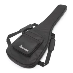 Ibanez GWB25THSWF 5 String Electric Bass Guitar Silver Wave Burst Flat