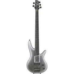 Ibanez GWB25THSWF 5 String Electric Bass Guitar Silver Wave Burst Flat