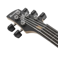 Ibanez GWB25THSWF 5 String Electric Bass Guitar Silver Wave Burst Flat